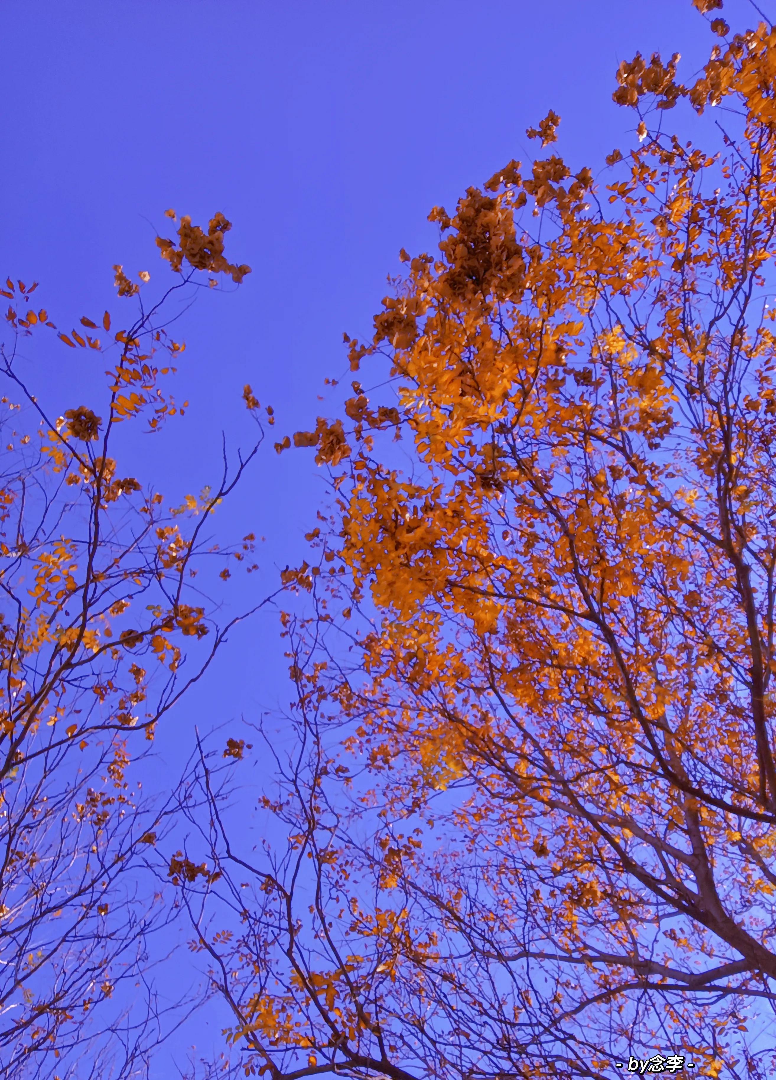 紫色的含义你知道吗？身边有喜欢紫色的人一定要注意了