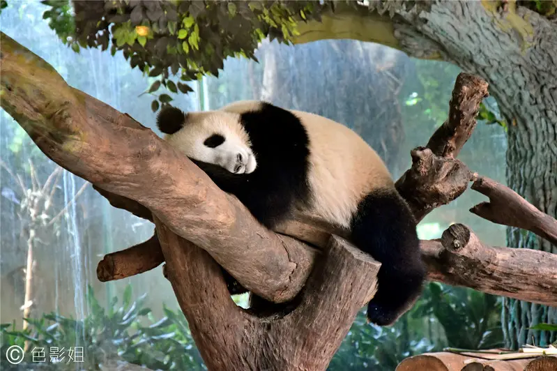 长隆欢乐世界旅游攻略景点必去（三天三夜欢乐长隆之旅）