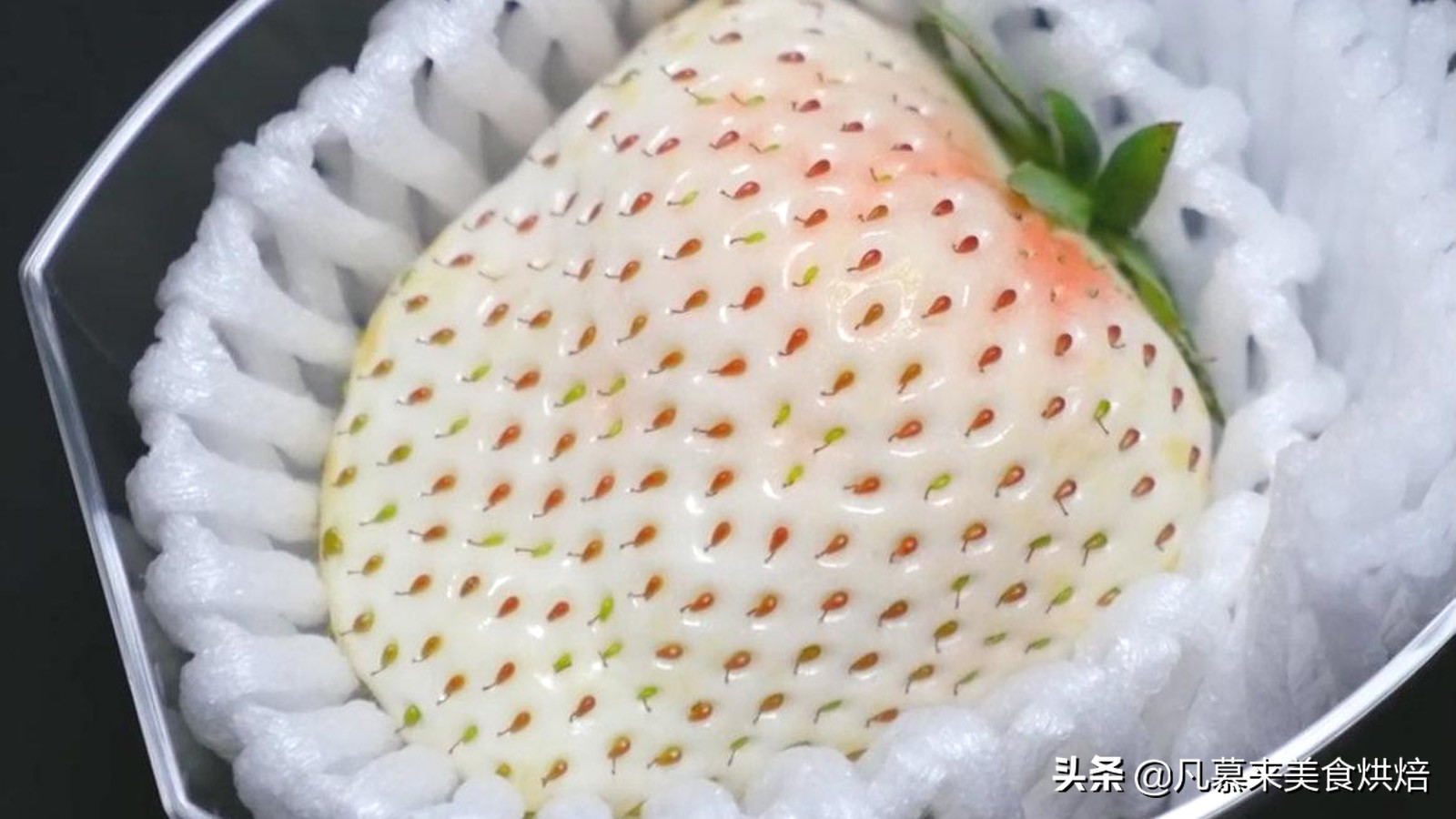 24种常见草莓品种，中国20大草莓产地？哪里的草莓最好吃？