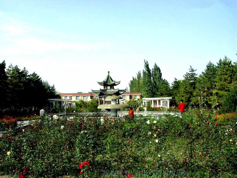 解读低分上985名校的密码，兰州大学是美术艺考生最佳的选择