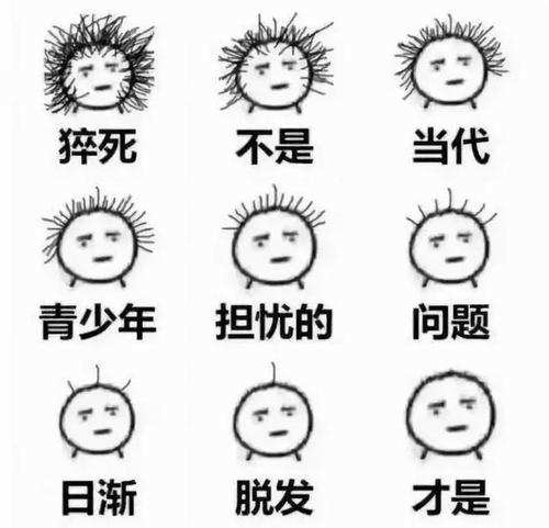 红吕泡沫洗发水精华液，专为油性易脱头皮定制。