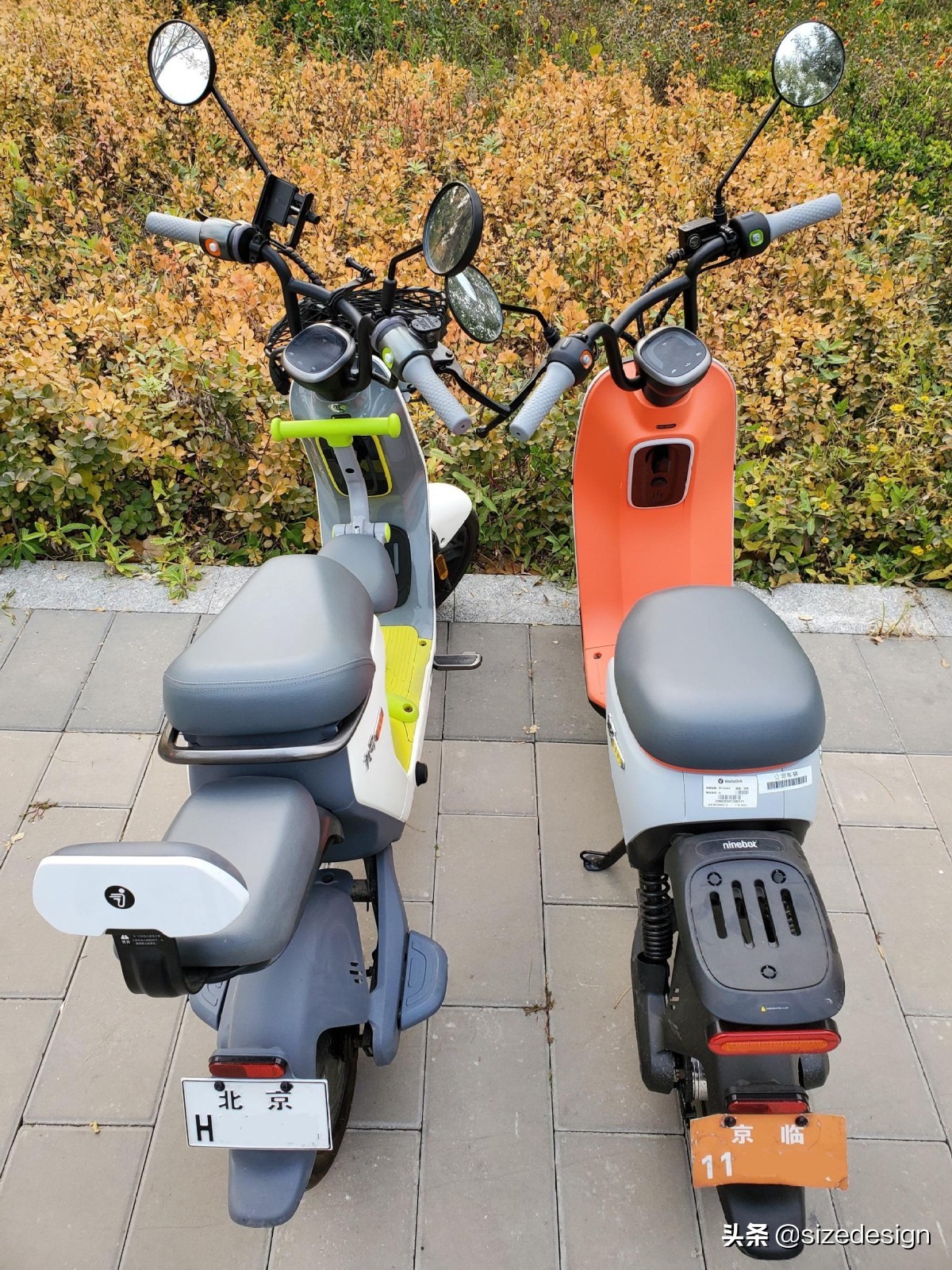 一个像宝马，一个更Mini？九号电动B系C系实车对比骑行体验
