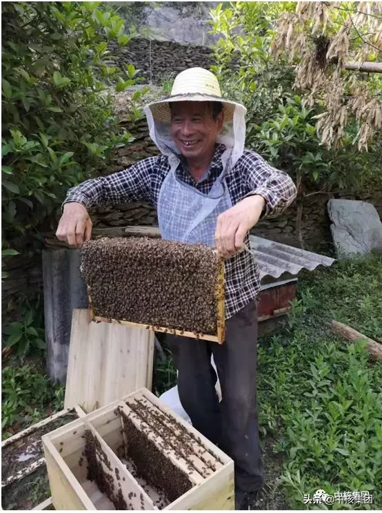 中核集团定点扶贫县陕西旬阳和白河实现“脱贫摘帽”