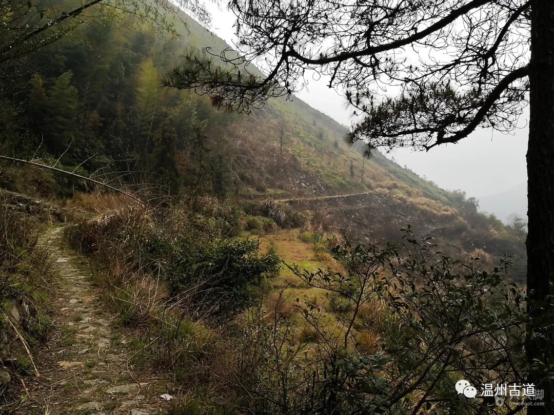 平阳麻步吧（平阳麻步沿口七星山古道环线穿越风景如画）