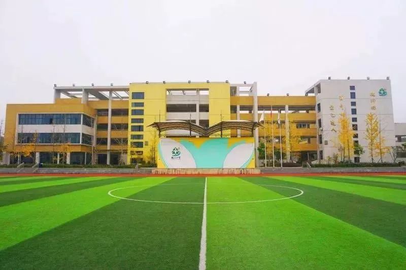 套路太深！个个都叫树人小学，又有几个是真的？