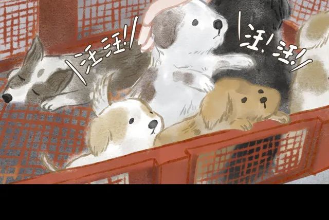 人性漫画：冷酷的女孩