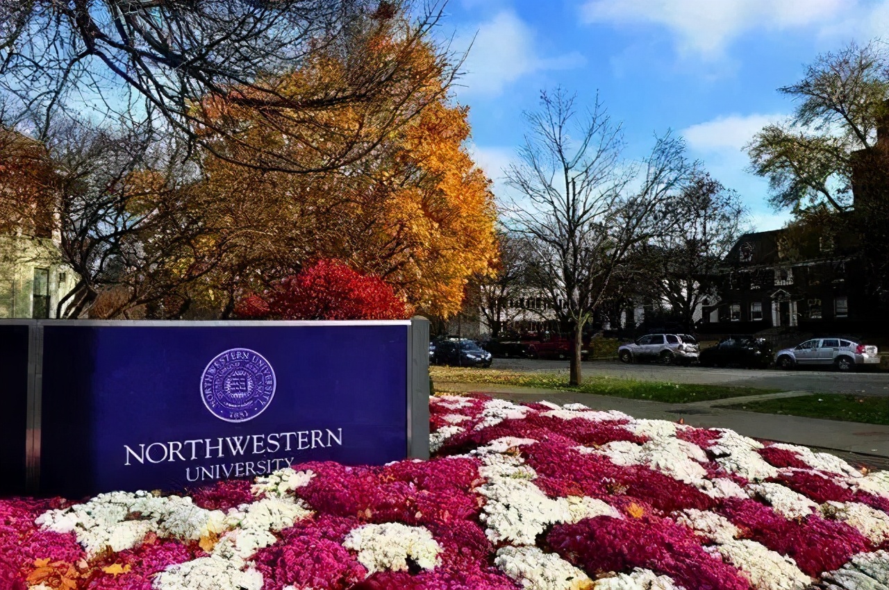 盘点｜20所美国顶尖法学院，法学生的缪斯