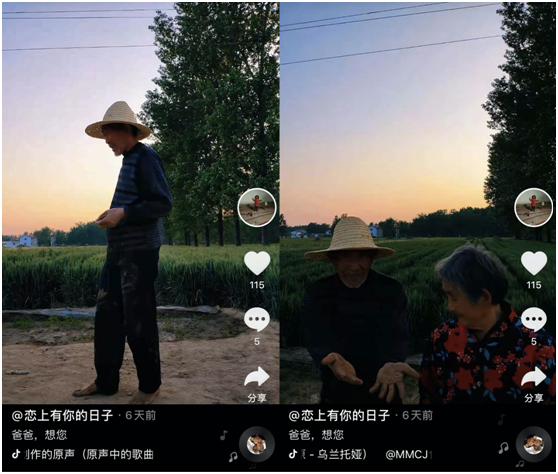 河南货车司机带75岁母亲拉货抖音走红，背后真相引人落泪