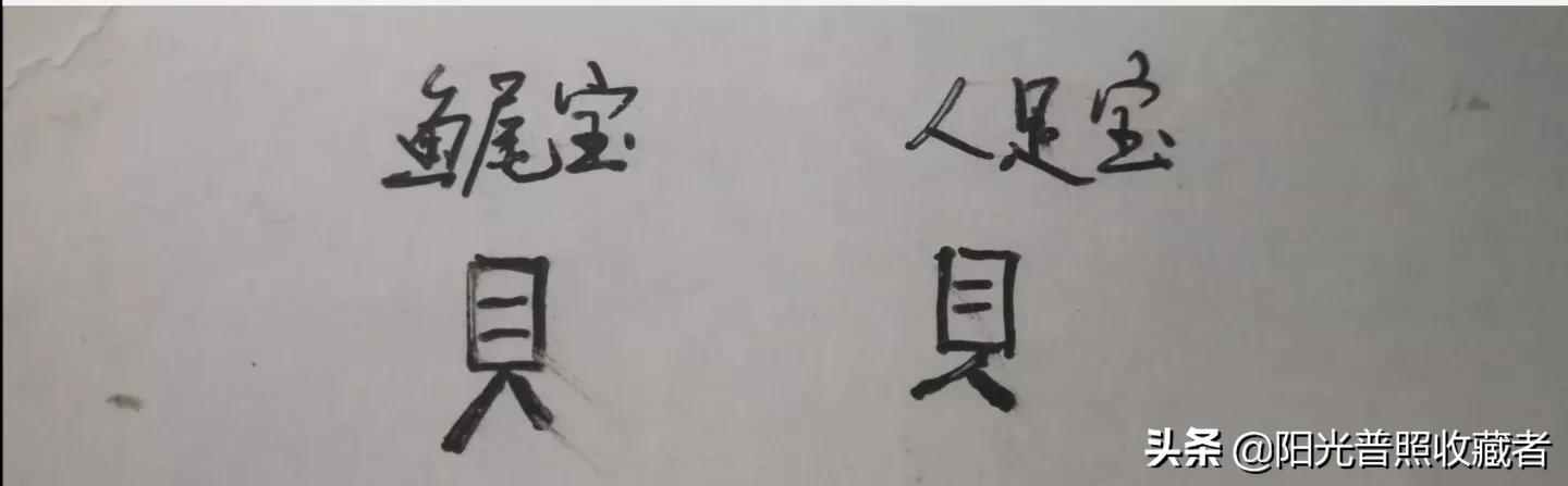 正在上涨的康熙脱谱钱“提足宝”,比大样值钱,你认识吗