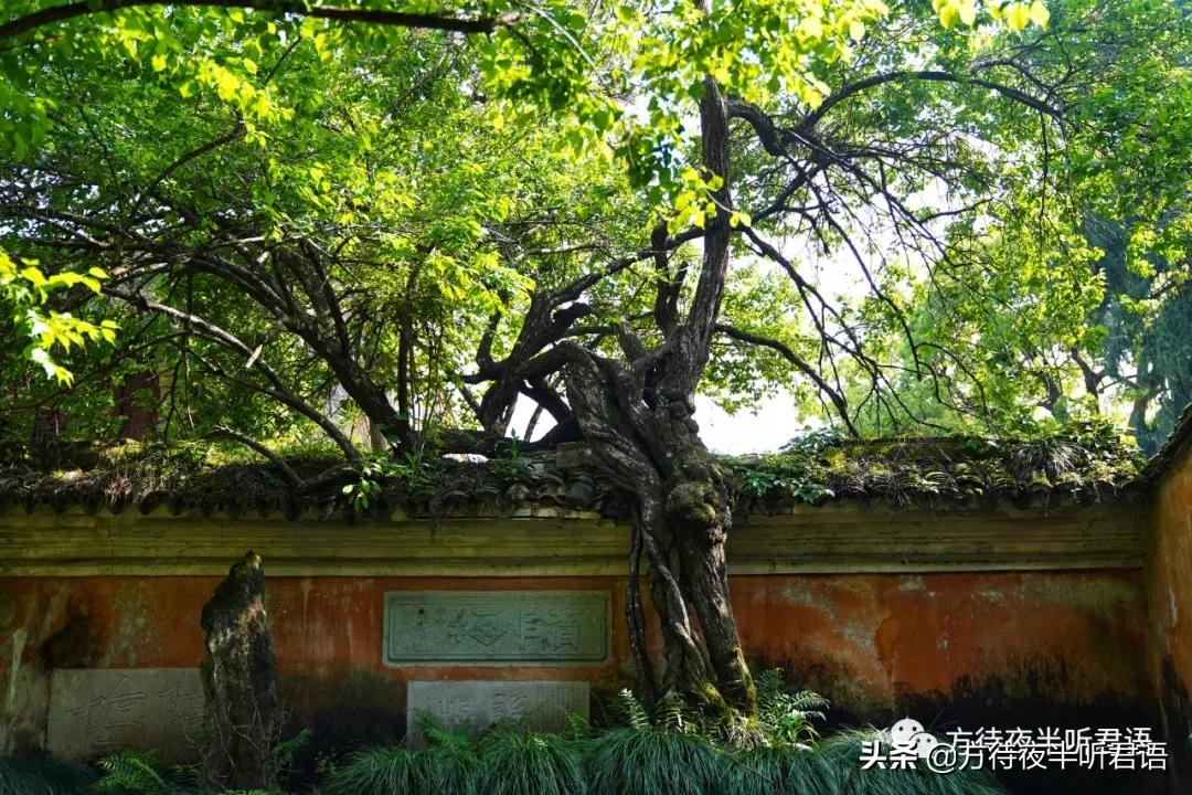 天台国清寺｜一念三千，风约孤萤落砌间