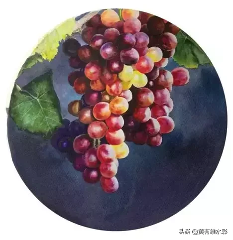 晶莹剔透、颗颗动人,水彩葡萄,真的太诱人了!