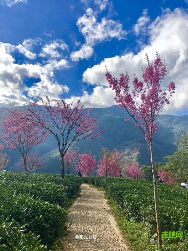 12月最佳旅行地推荐！年尾用一场完美的收官旅行告别2019