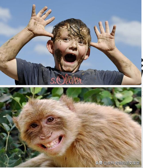 比喻句的作用和好处详解比喻都有哪些作用