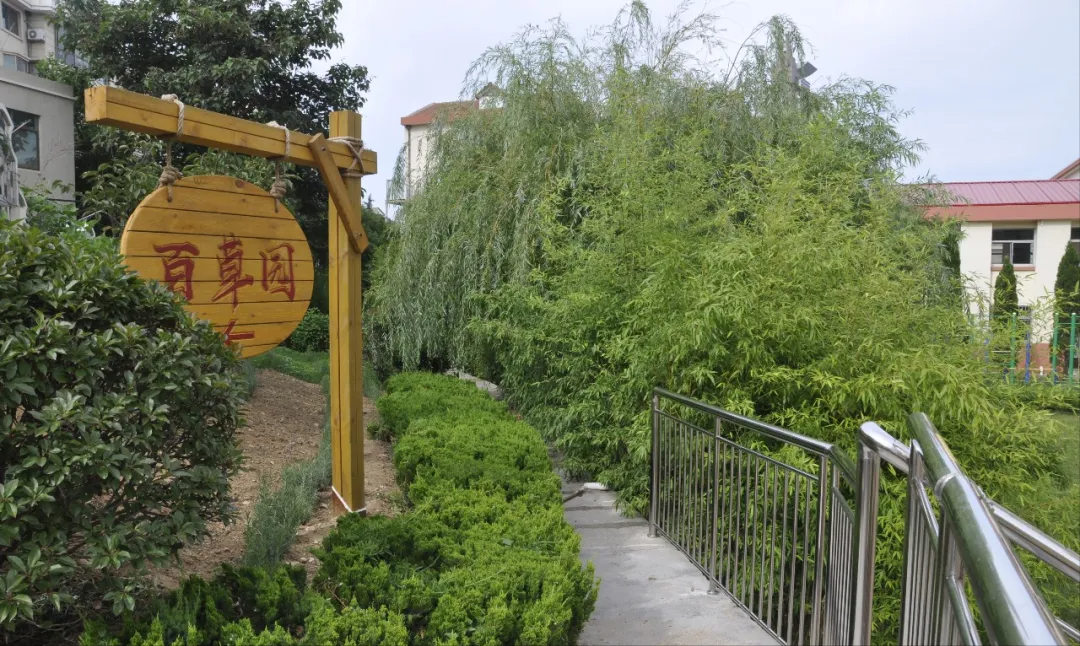 威海市环翠区北竹岛小学：构建“333”体系 高质量推动中医药文化进校园