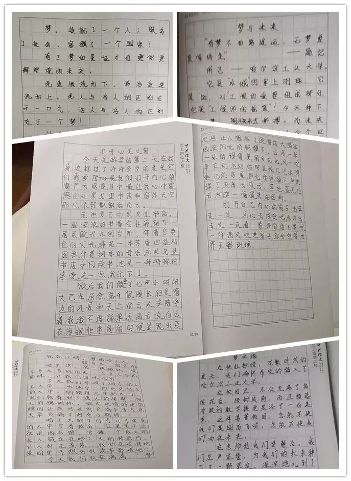 东北游学报名倒计时3天