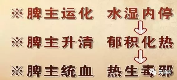 你脾虚了吗？中医大夫教你如何调理