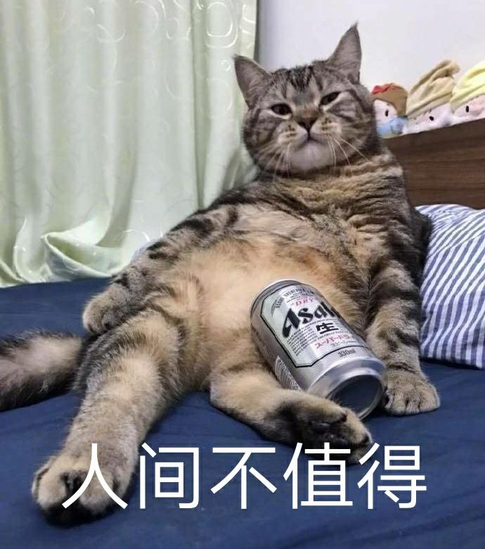 2020网络流行语和热词（3）