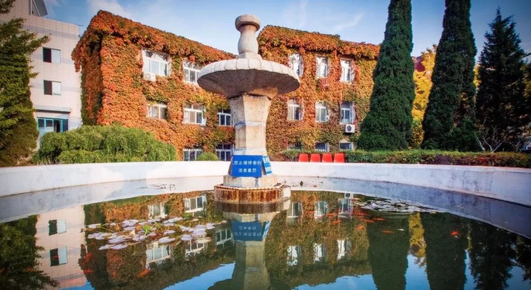 神奇动物在哪里？这些大工校园里的神奇动物你们见过哪些呢？