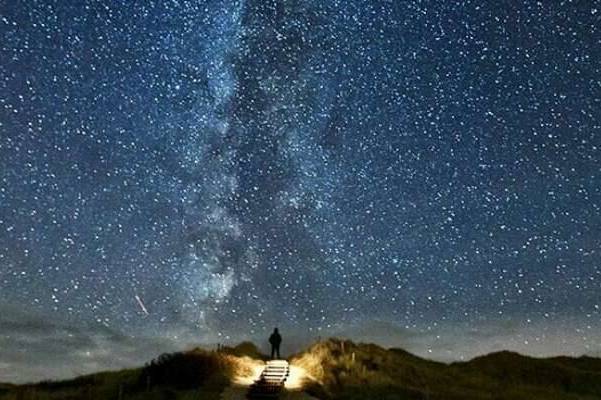夜深 | 情人怨遥夜，竟夕起相思