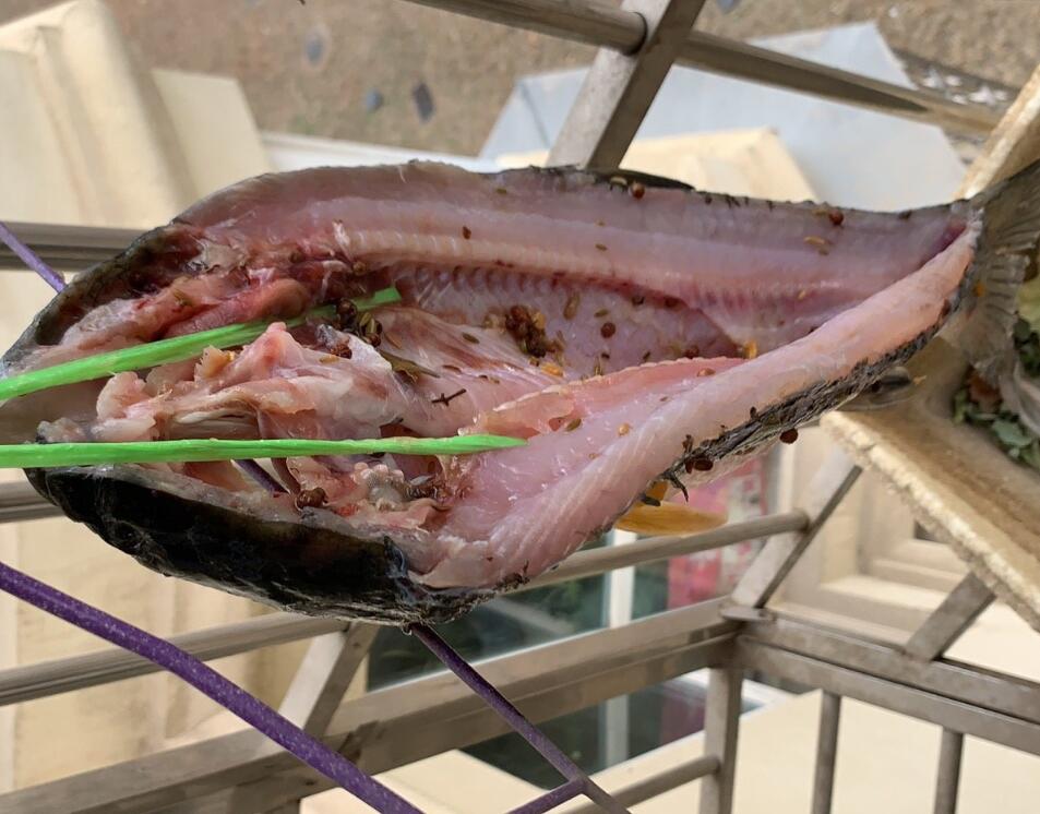 臘肉、臘腸、臘魚、臘鴨，花錢學的配方，免費給你，建議收藏備用