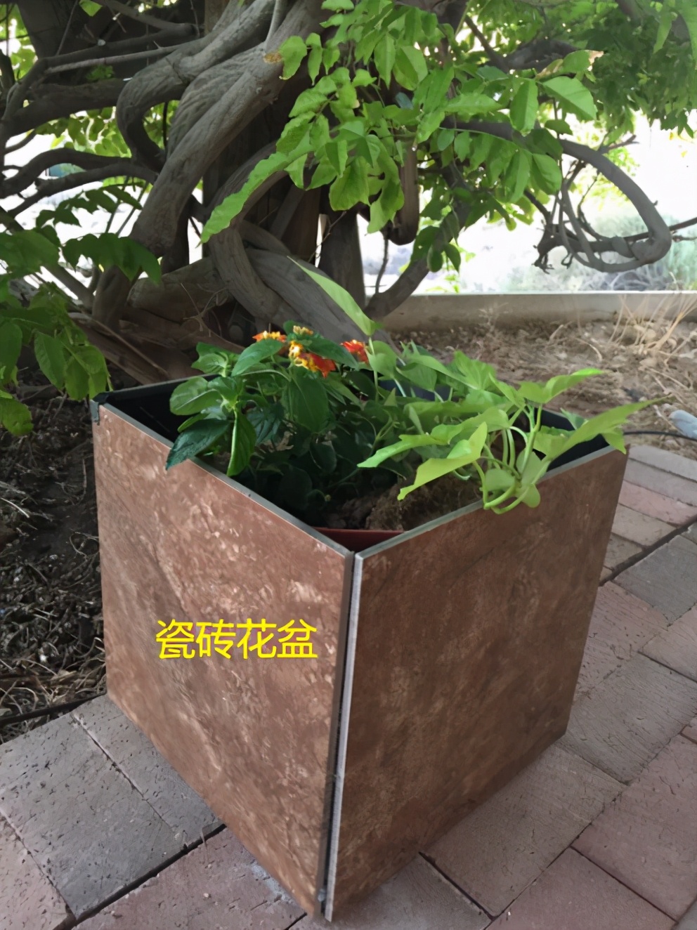 可以选择小规格瓷砖,也可以选择大规格瓷砖,小花盆或大花盆你都能diy