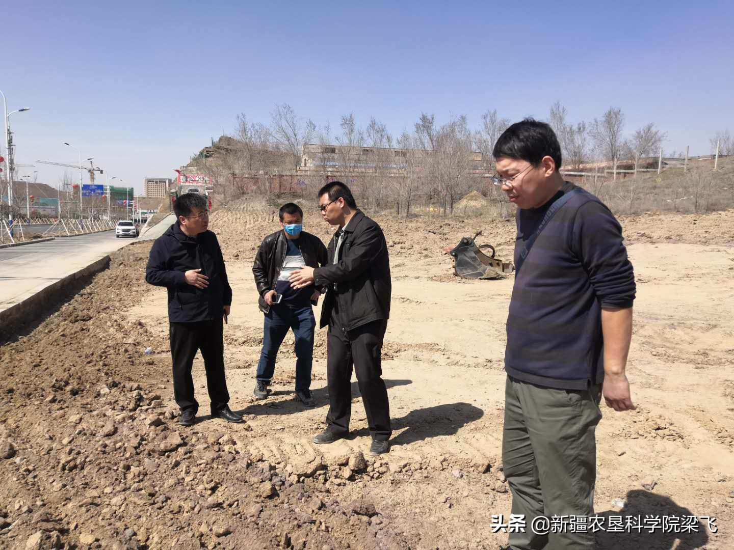 为什么地里的盐碱斑，年年改良年年有呀？