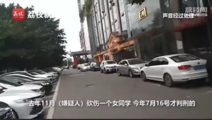 电梯内砍死男童,电梯内砍死男童原视频