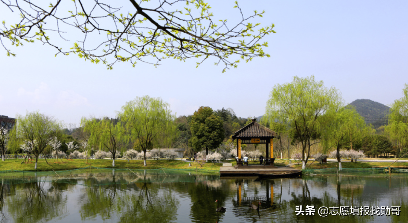 学计算机最好的11所普通大学，不比985、211差，毕业有高薪