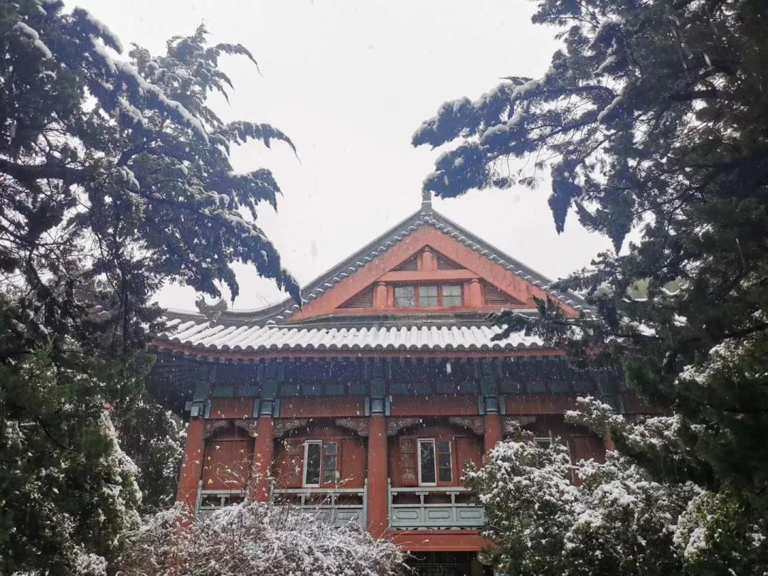 神仙颜值！坐拥