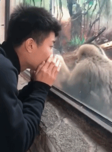 每日一笑：原来大学女生宿舍是这样子啊，真是超乎想象