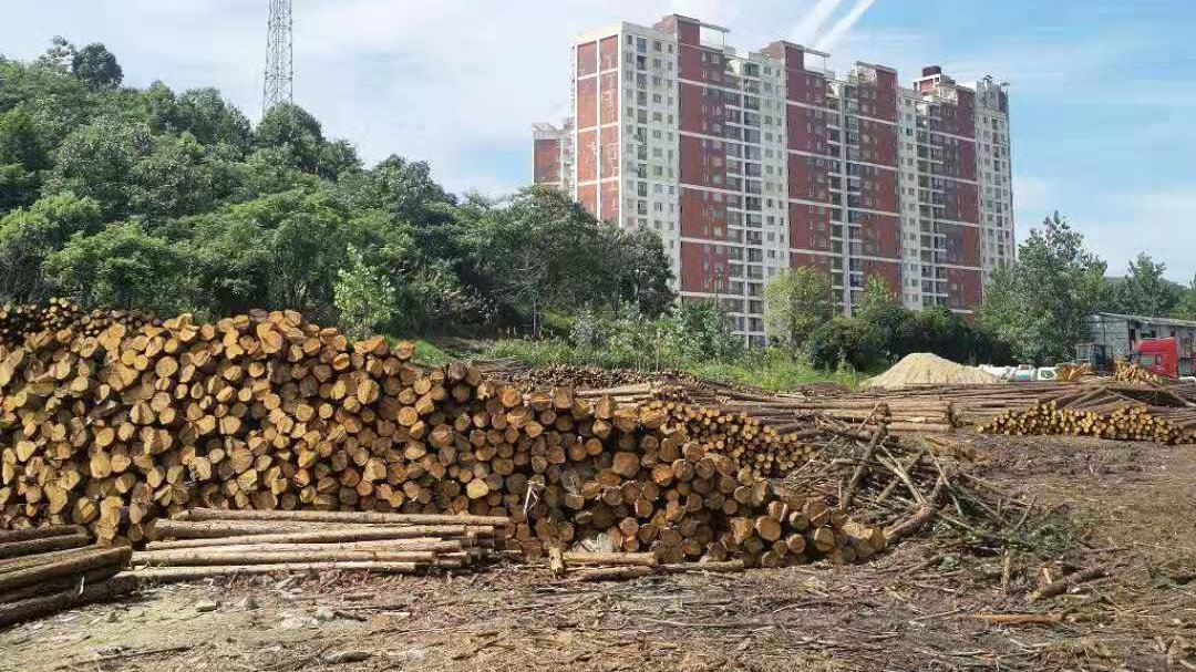 武汉哪家防腐木厂性价比高？