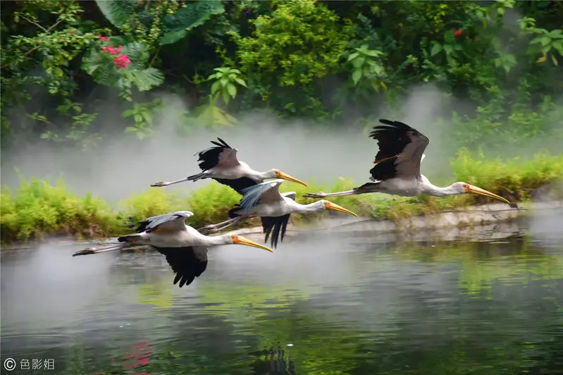 长隆欢乐世界旅游攻略景点必去（三天三夜欢乐长隆之旅）
