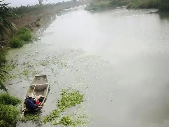 诗中有鱼，渔中取乐，乐中养性