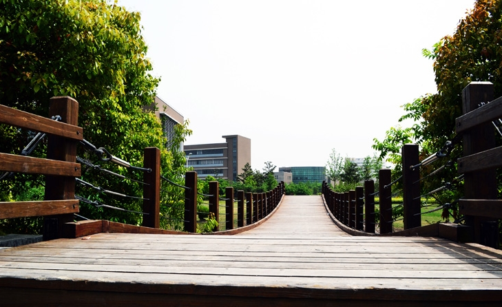 校考没过也能上的音乐类专业名校，有你想报考的院校吗？