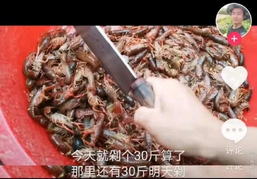 2020上半年十大最受欢迎小龙虾品牌揭晓：文和友领衔