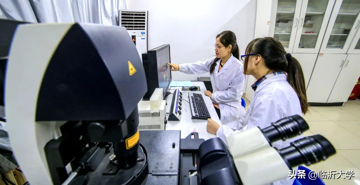 权威发布！临沂大学2019年招生章程！