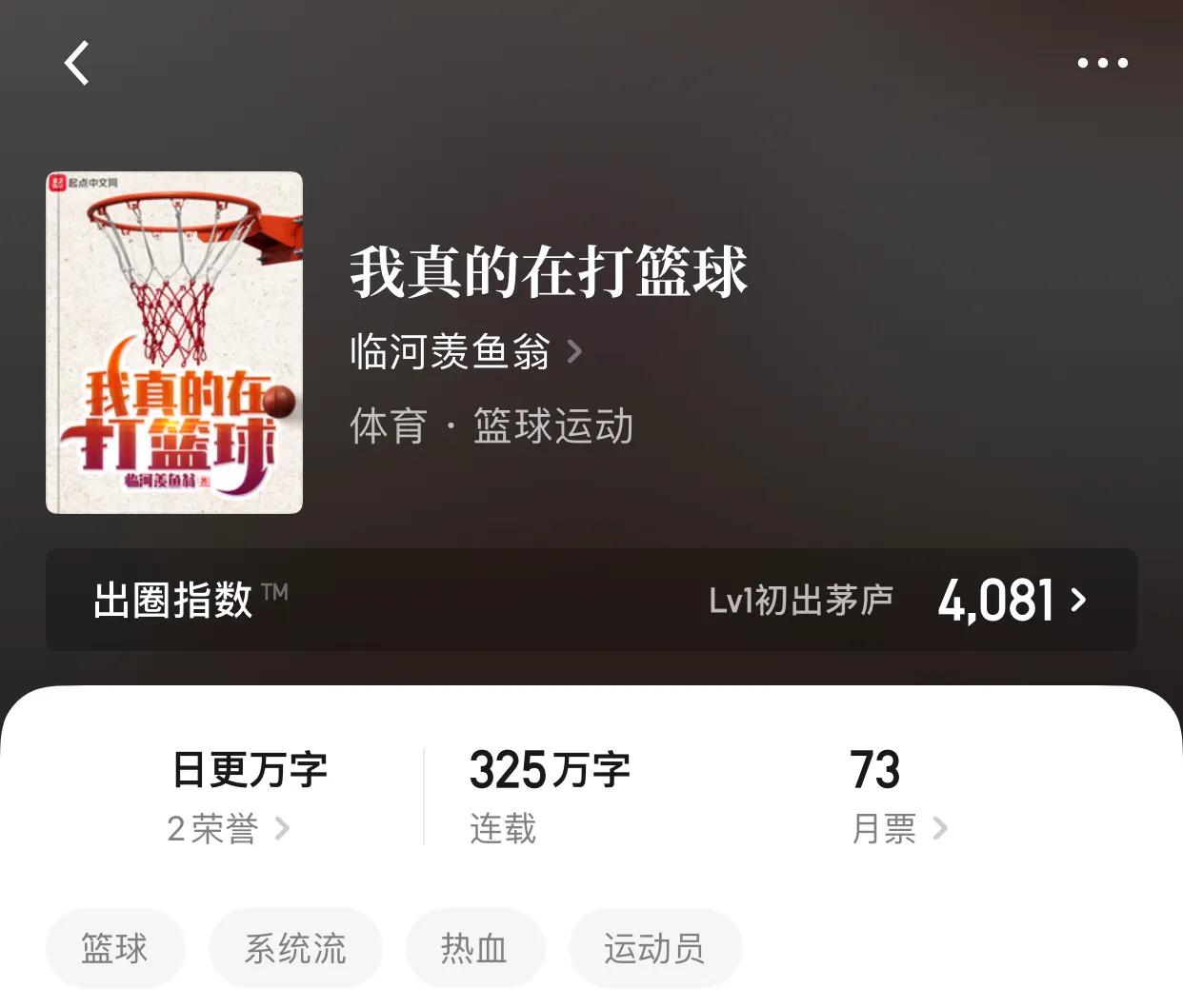 幾本從封面開始就熱血沸騰的籃球小說，男人的熱血唯有大灌籃才爽