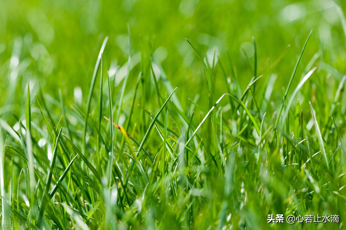 一年四季怎么分（一年四季怎么划分月份：春夏秋冬如何形成？）