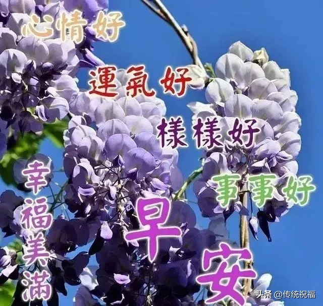 采摘一缕阳光，照亮你的每一天；采摘一缕芳香，让香气伴你入眠
