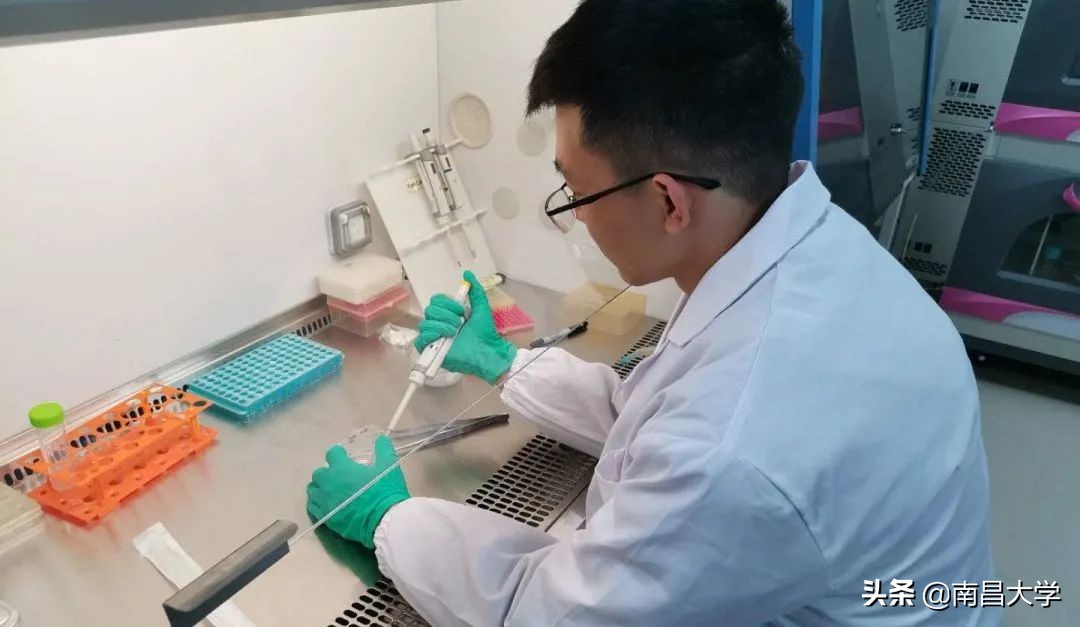 夺冠！南昌大学再捧江西省“挑战杯”！