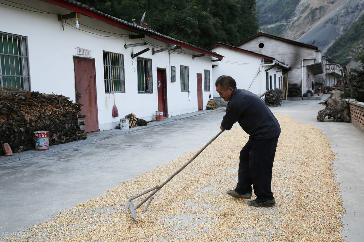 童年不知身是客，当时只道是寻常