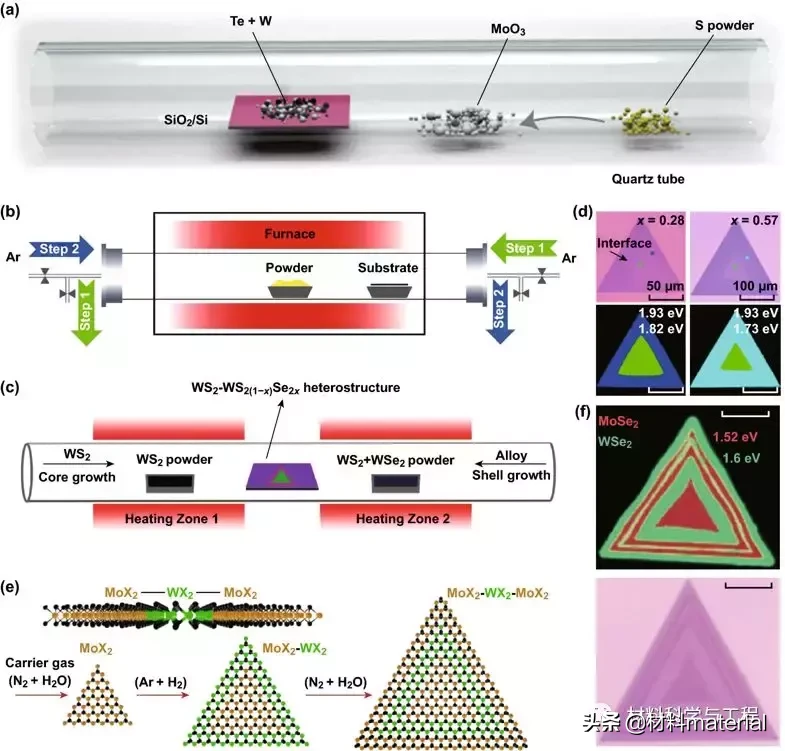 中南大学本科生发表一区综述文章