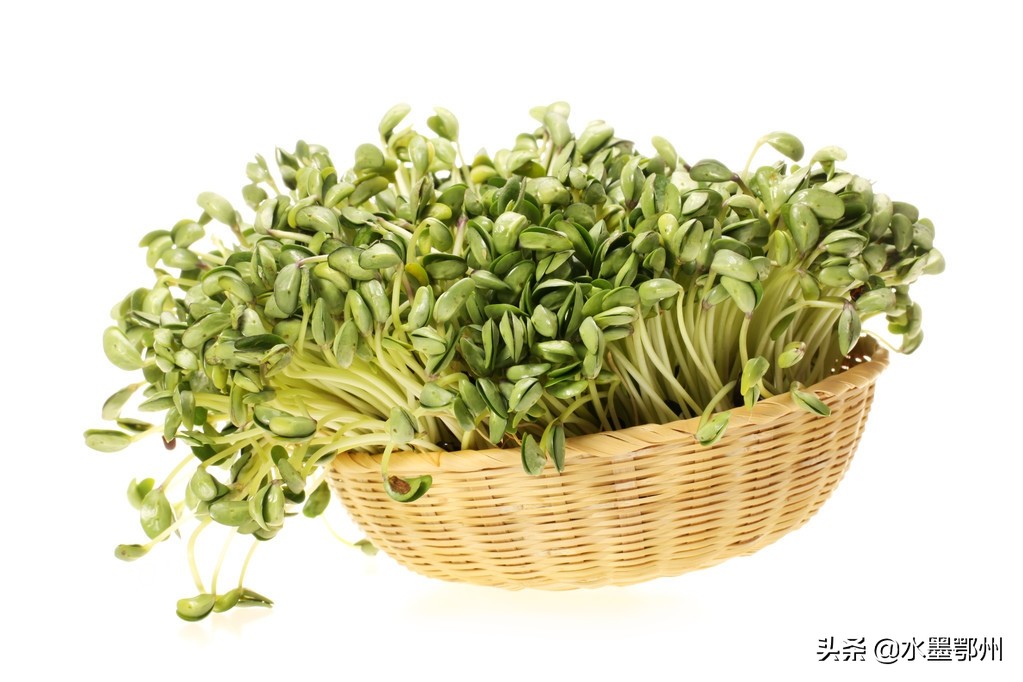 黃芪種子,黃芪種子價(jià)格現(xiàn)在一斤多少錢