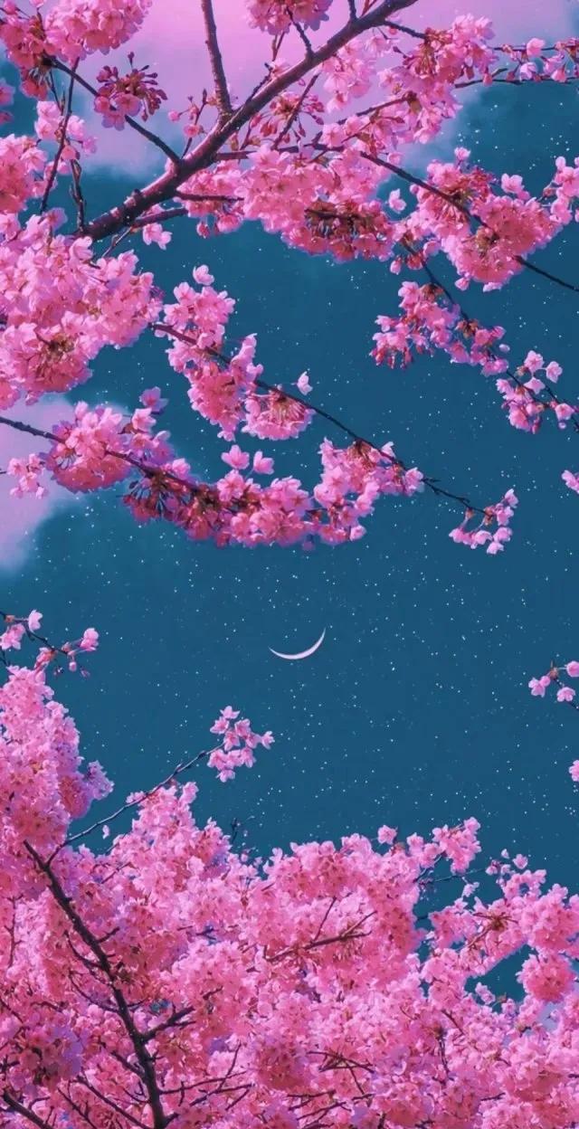 让人暖心的简短句子，句句是经典，精致你的生活