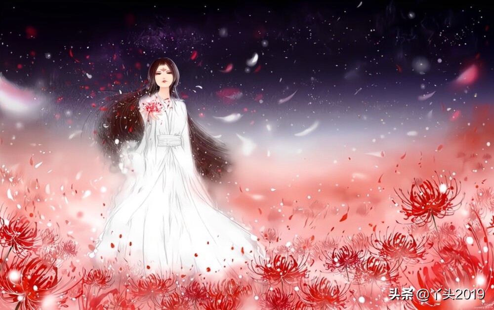 彼岸花的经典一句短句(彼岸花的经典一句短句形容女孩开朗漂亮)