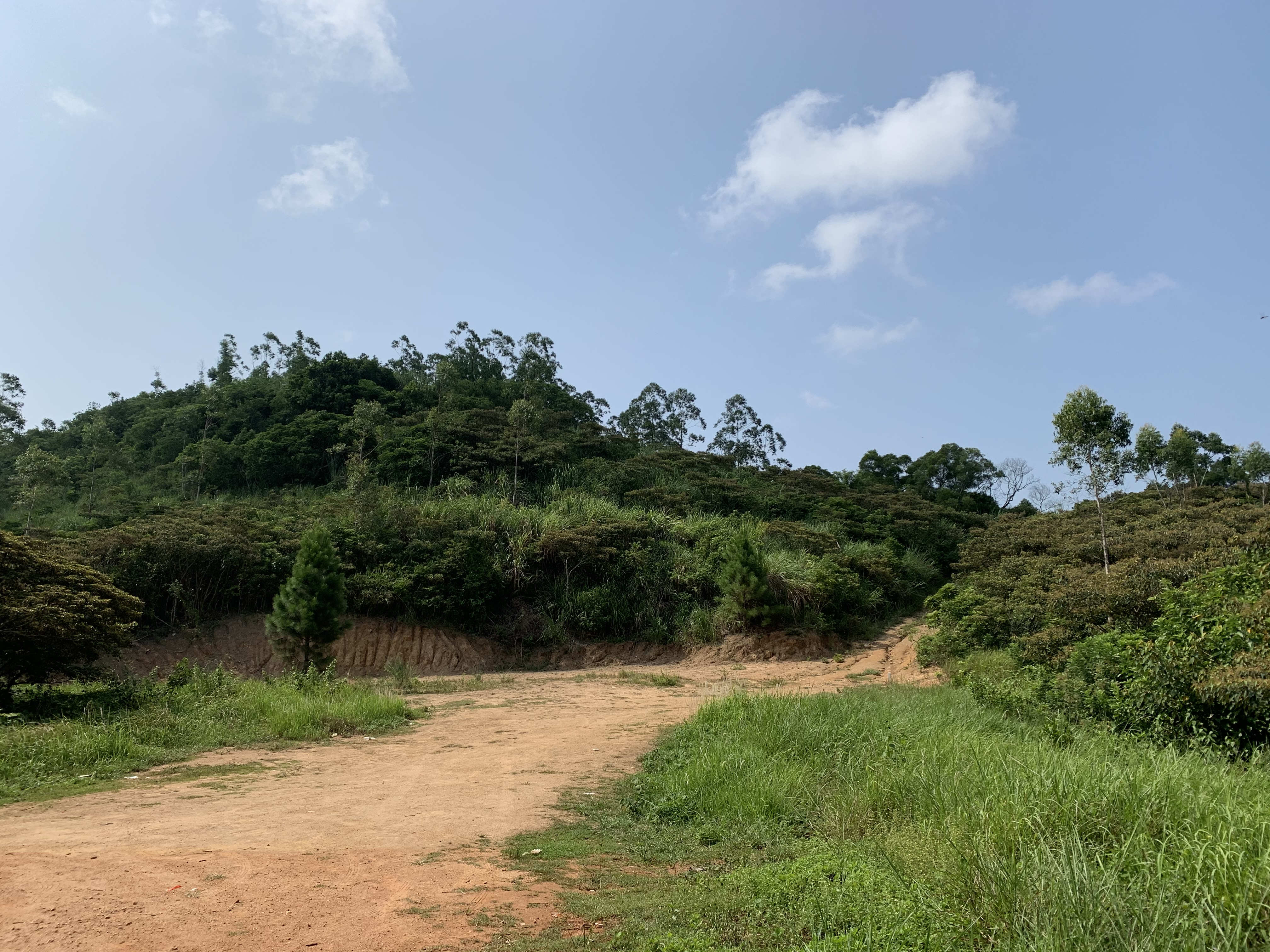 一座古塔,是明代船只航行与军事上的重要航标,七星岭上的斗柄塔