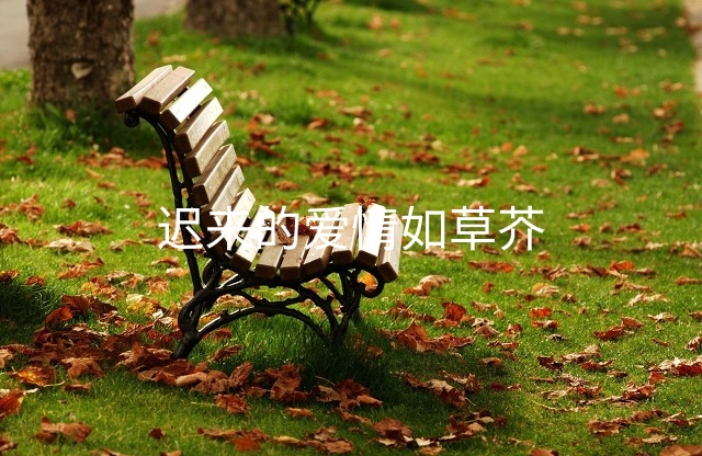 十大酷刑小说盘点：那些让人意难平的经典作品回顾