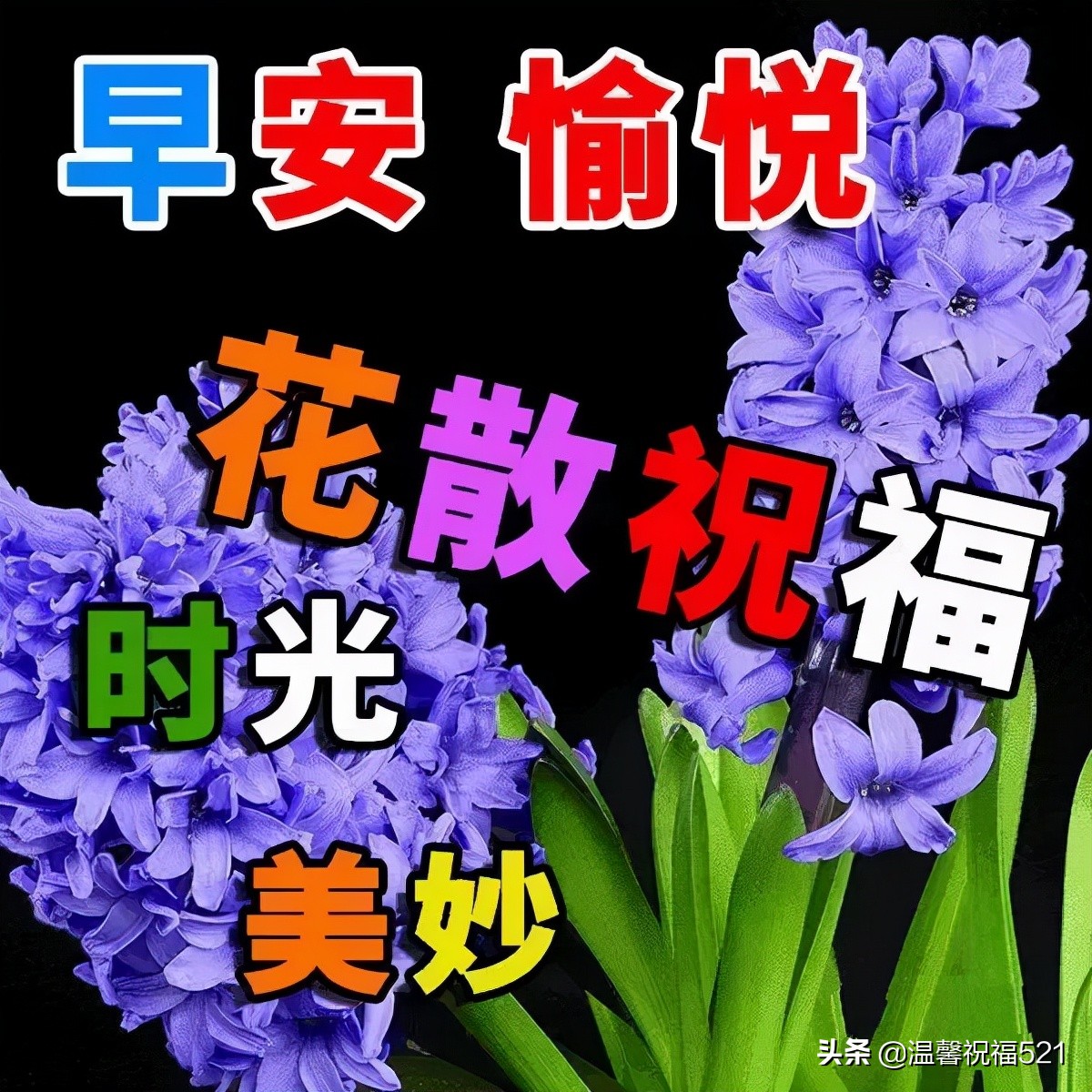 天冷了早上好，冬季早安短信祝福语大全，简短温馨