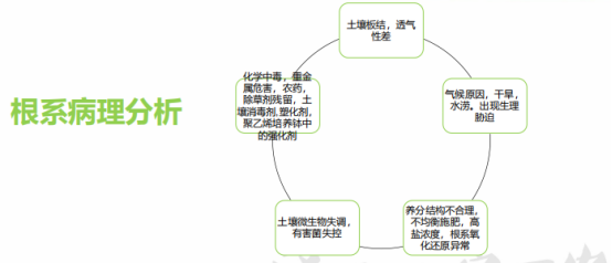 植物生理简介（植物生理的特性及土壤改良）