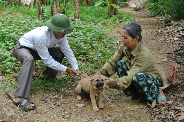 世界卫生组织：狂犬病40%为15以下儿童，危险性极高，家长要注意